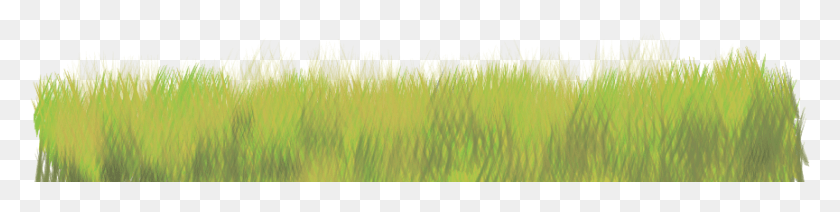 864x169 Grass Texture Freetoedit Sweet Grass, Plant, Moss, Weed HD PNG Download