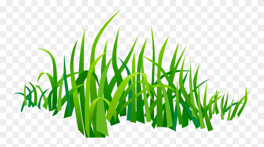 753x409 Grass Vector 7, Plant, Lawn, Vegetation HD PNG Download