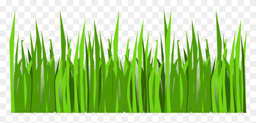 961x425 Grass Vector, Plant, Green, Lawn HD PNG Download