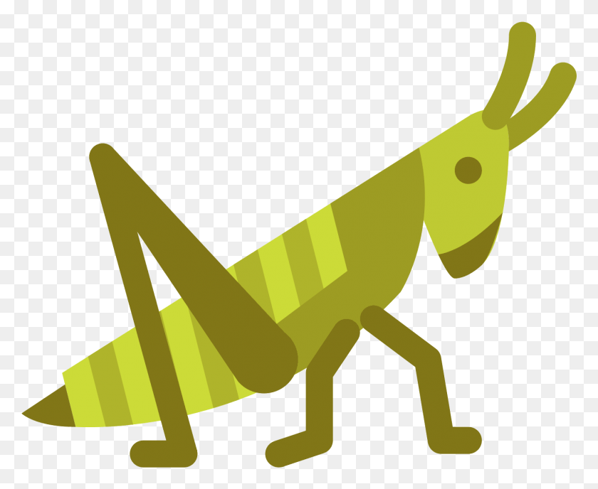 1367x1102 Grasshopper Clipart Head Grasshopper Icon, Insect, Invertebrate, Animal HD PNG Download