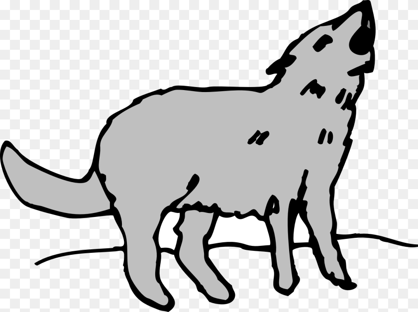 1920x1434 Gray Animal Coyote Howling Coyote Clipart, Mammal, Wolf, Kangaroo Transparent PNG