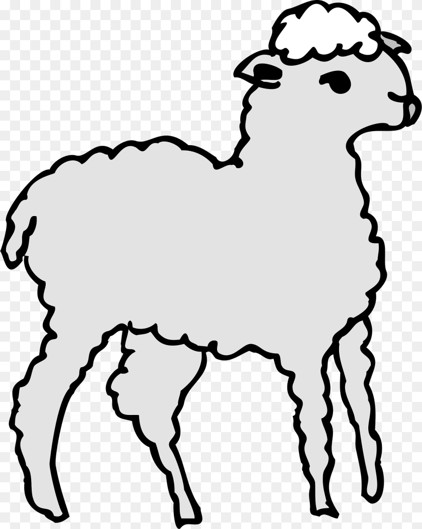 Gray Clipart, Animal, Mammal, Baby, Person PNG