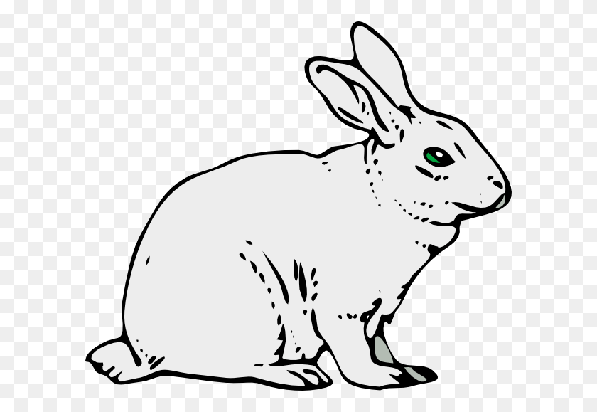 600x519 Gray Rabbit Svg Clip Arts 600 X 519 Px, Rodent, Mammal, Animal HD PNG Download