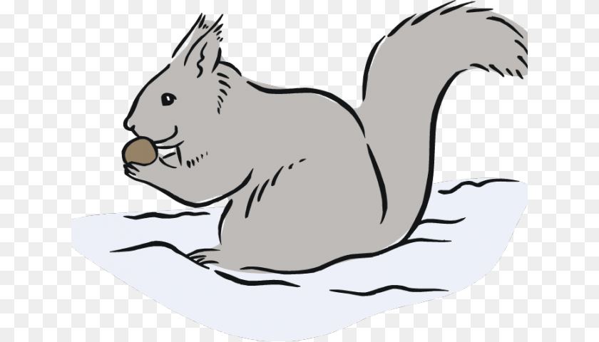 640x480 Gray Squirrel Clipart Cute Clipart On Clip Art Grey Squirrel, Animal, Bear, Mammal, Wildlife Transparent PNG