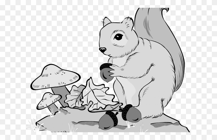 640x480 Gray Squirrel Clipart Line Art Cartoon, Hat, Clothing, Apparel HD PNG Download