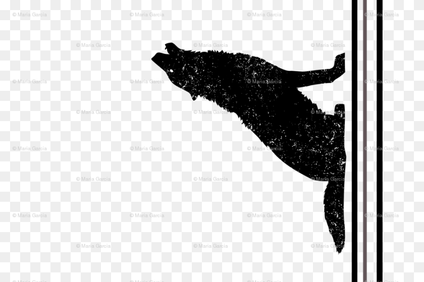 Gray Wolf Silhouette Tea Towel Wallpaper, Nature, Night, Outdoors, Astronomy Transparent PNG