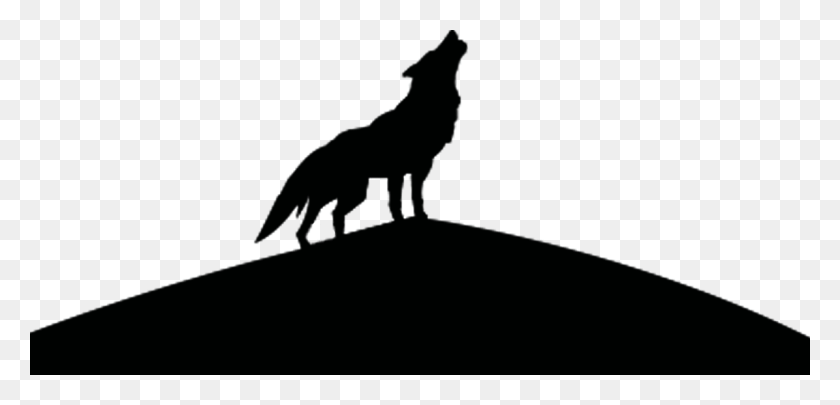 1195x530 Gray Wolf Silhouette Wolf Silhouette, Coyote, Mammal, Animal HD PNG Download