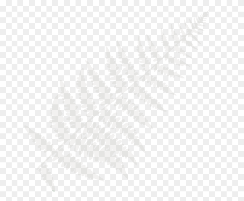 677x633 Grayfern Pink Fern Sketch, Planta, Pájaro, Animal Hd Png