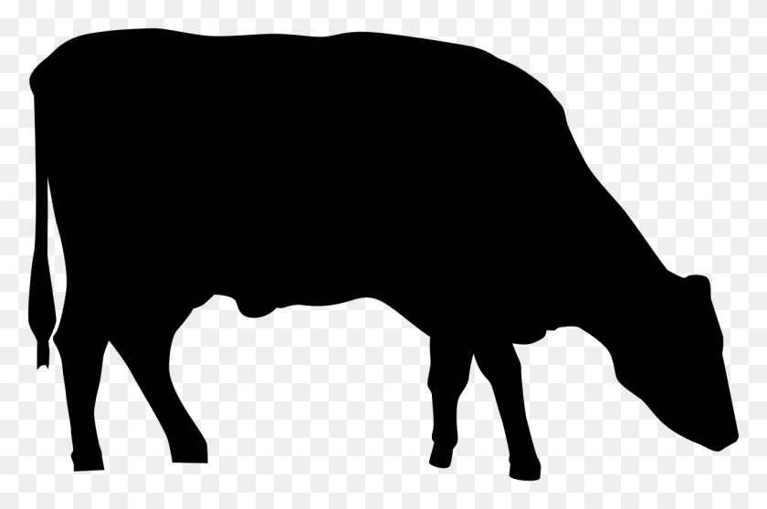1280x818 Grazing Cow Silhouette, Gray, World Of Warcraft HD PNG Download