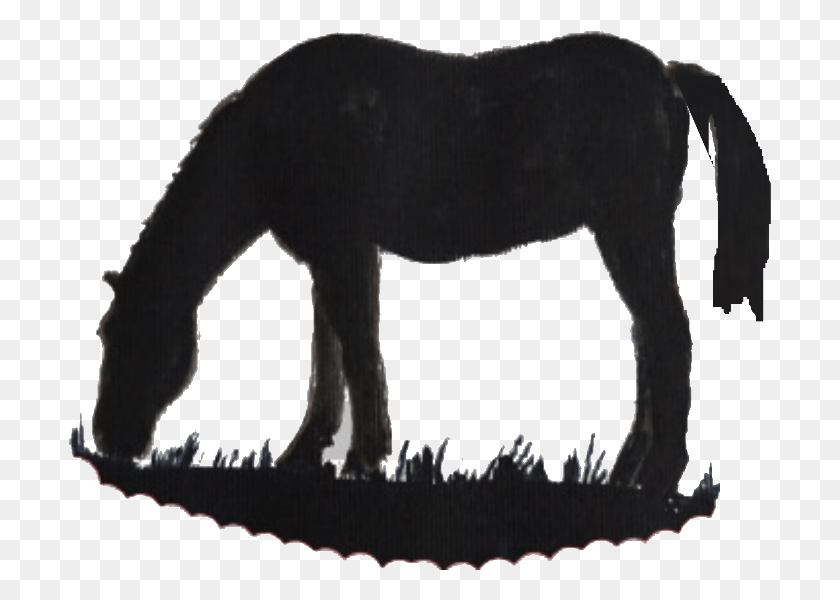 703x540 Grazing Horse Silhouette Mane, Mammal, Animal, Wildlife HD PNG Download