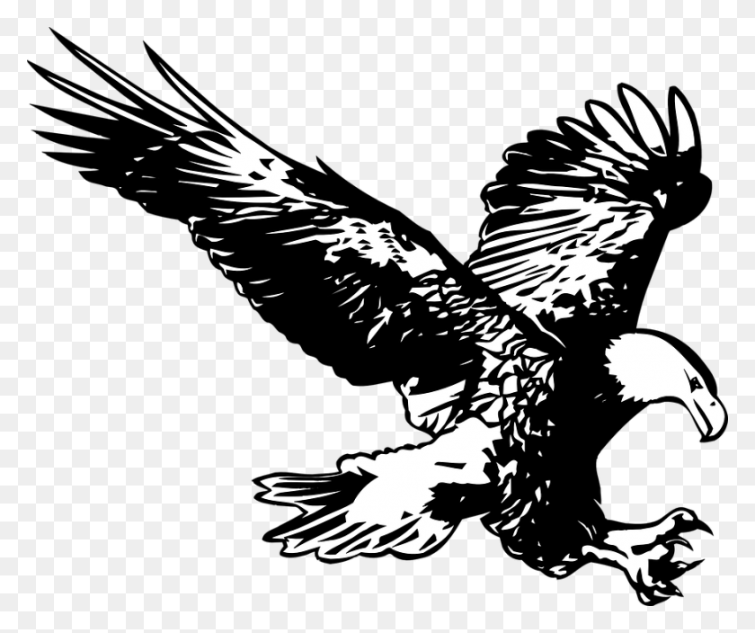 872x720 Great Eagle Black And White Birds Free Vector Graphic Eagle Mountain Casino Logo, Bird, Animal, Flying HD PNG Download