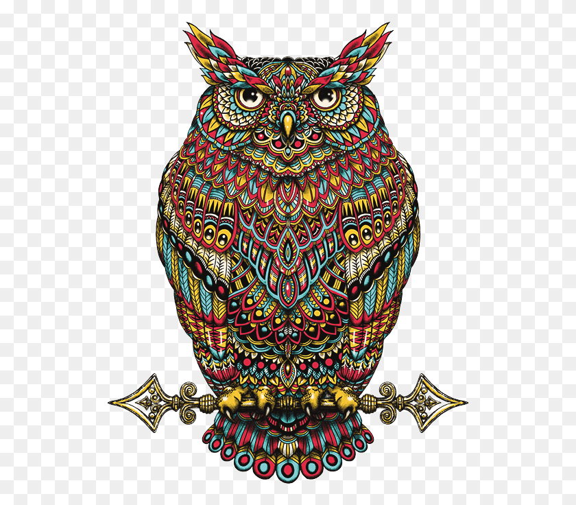 529x676 Great Horned Owl, Doodle HD PNG Download