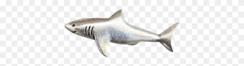399x167 Great White Shark, Sea Life, Animal, Fish HD PNG Download