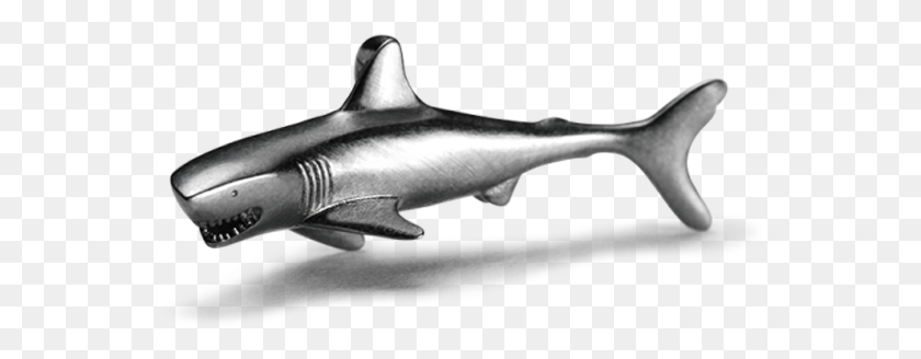 554x268 Gran Tiburón Blanco, La Vida Marina, Los Peces, Animal Hd Png