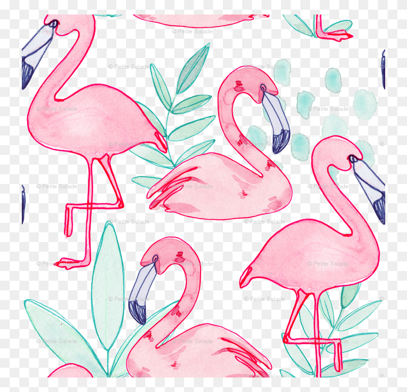 750x750 Greater Flamingo, Animal, Bird, Flock HD PNG Download