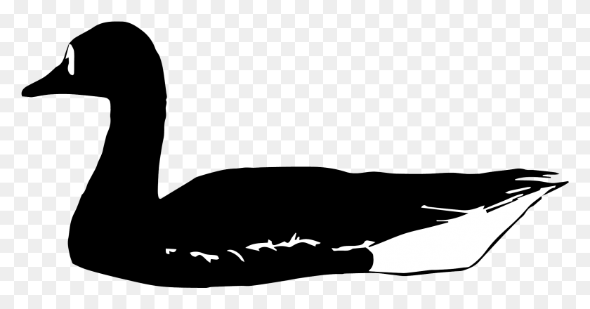 2299x1122 Greater White Fronted Bird Academy The Cornell Goose Clipart Black And White Swimming, Animal, Text HD PNG Download