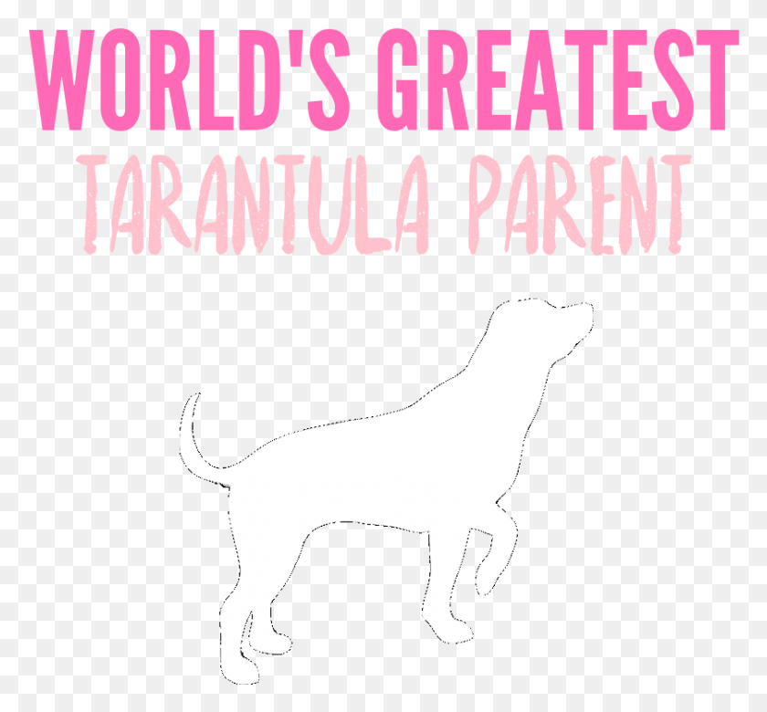 838x774 Greatest Tarantula Parent Feast, Animal, Canine, Mammal HD PNG Download