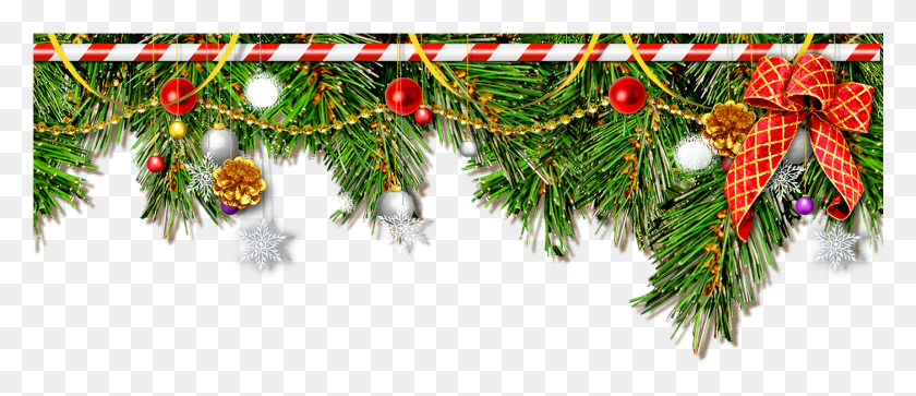 1401x546 Green, Tree, Plant, Ornament HD PNG Download