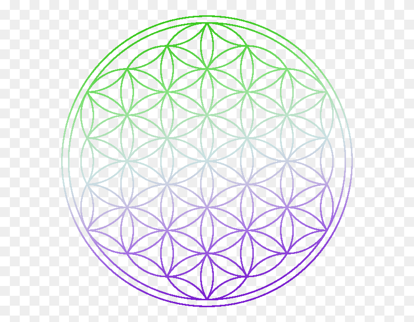 593x593 Green And Purple Flower Of Life Flower Of Life Green, Pattern, Ornament, Fractal HD PNG Download