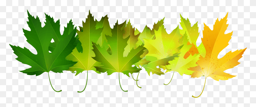 7873x2952 Green Autumn Leaves Transparent Clip Green Autumn Leaves HD PNG Download