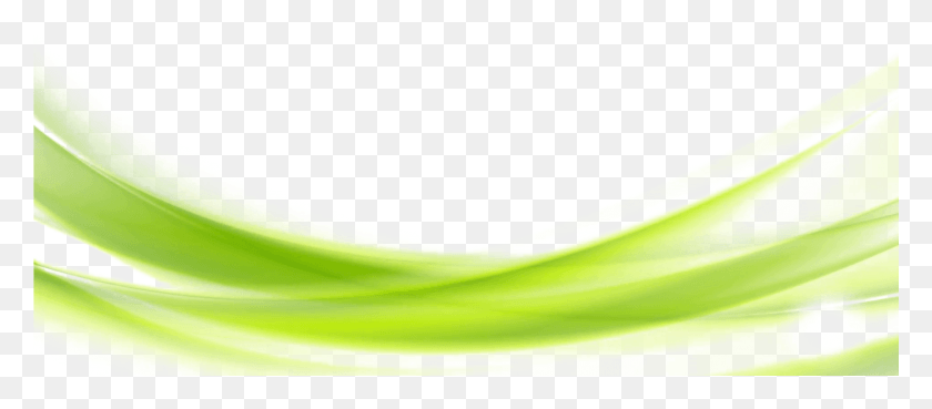 1921x763 Зеленый Фон Прозрачный Фон Зеленый Фон Дизайн Прозрачный, Растение, Продукты, Еда Hd Png Скачать