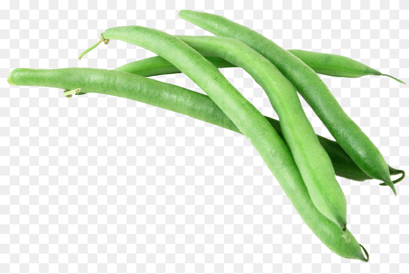 Green Bean, Food, Plant, Produce, Vegetable Clipart PNG
