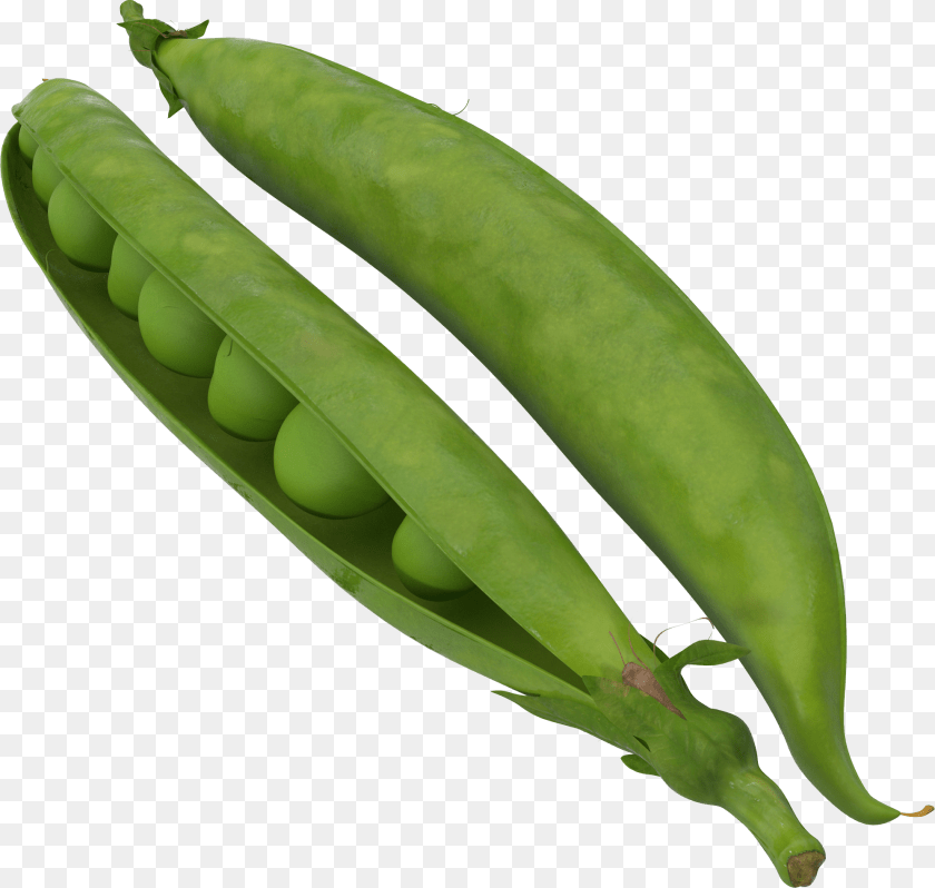 1996x1896 Green Bean Transparent Background Peapod 3d Model, Food, Pea, Plant, Produce Clipart PNG