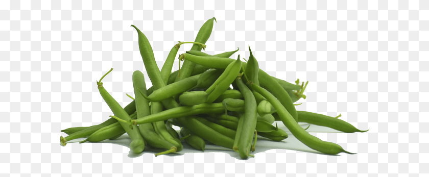 613x287 Green Beans Green Bean, Plant, Vegetable, Food HD PNG Download