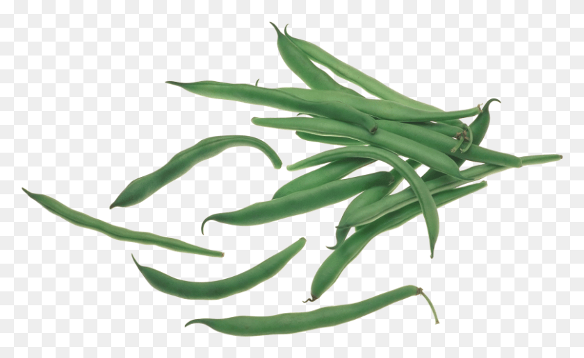 807x472 Green Beans Green Bean, Plant, Produce, Food HD PNG Download