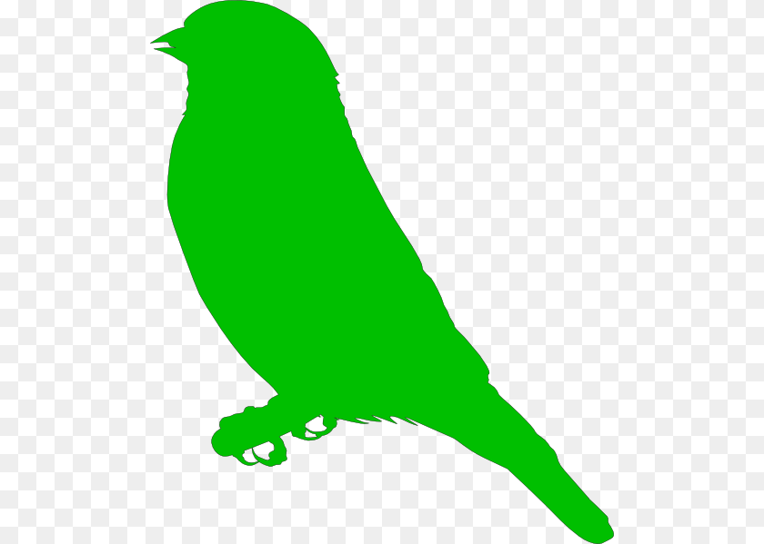 Green Bird Clip Art, Animal, Finch, Fish, Sea Life Sticker PNG
