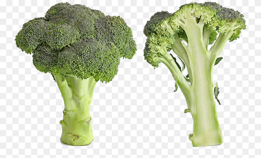 1192x724 Green Broccoli File Bad Broccoli, Food, Plant, Produce, Vegetable Transparent PNG