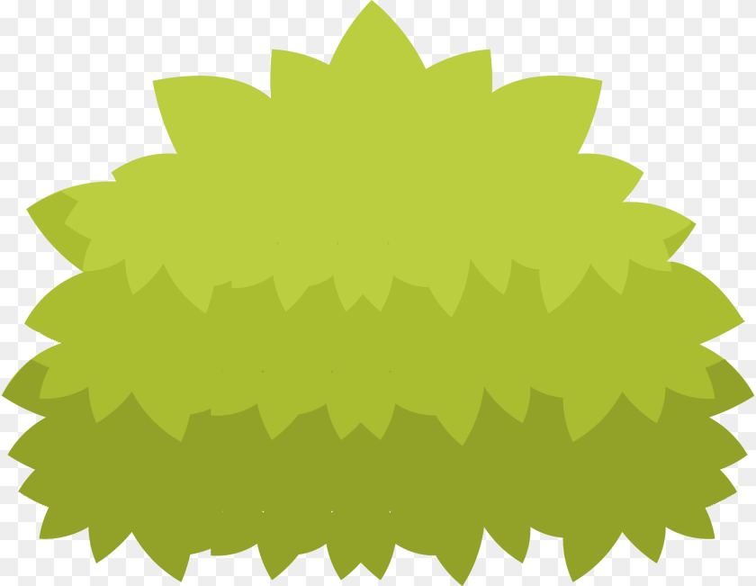 Green Bush Leaf, Plant, Flower Clipart PNG