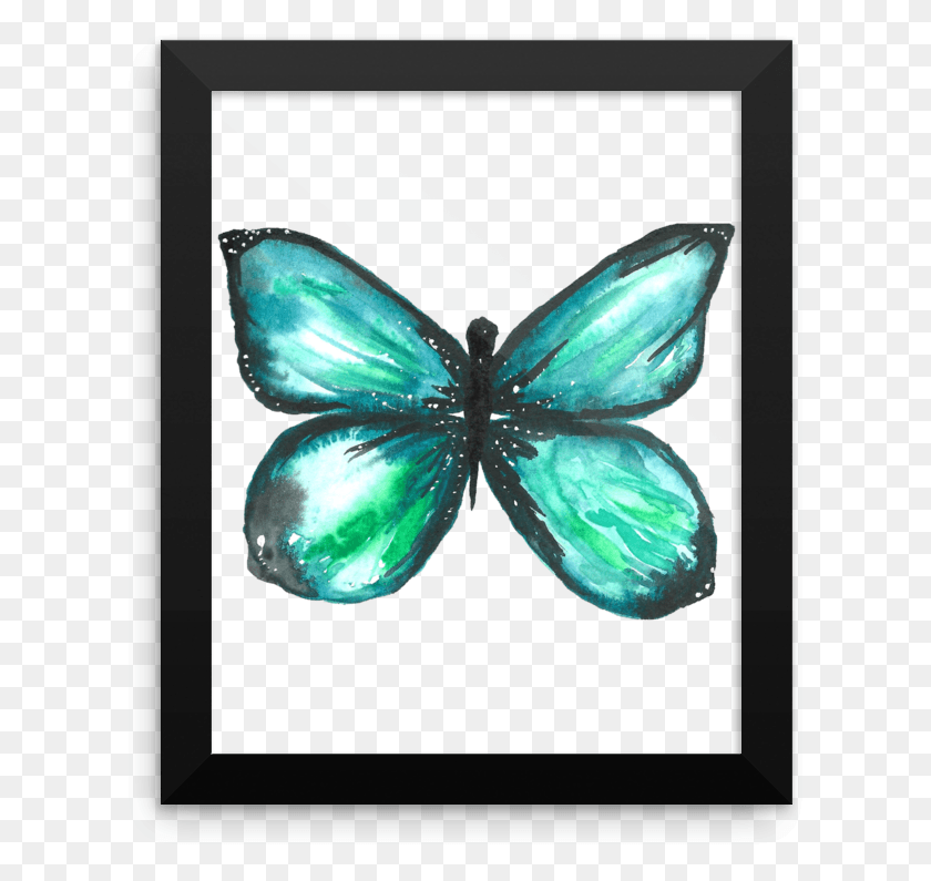 615x735 Green Butterfly Framed Photo Paper Poster Picture Frame, Accessories, Accessory, Jewelry HD PNG Download