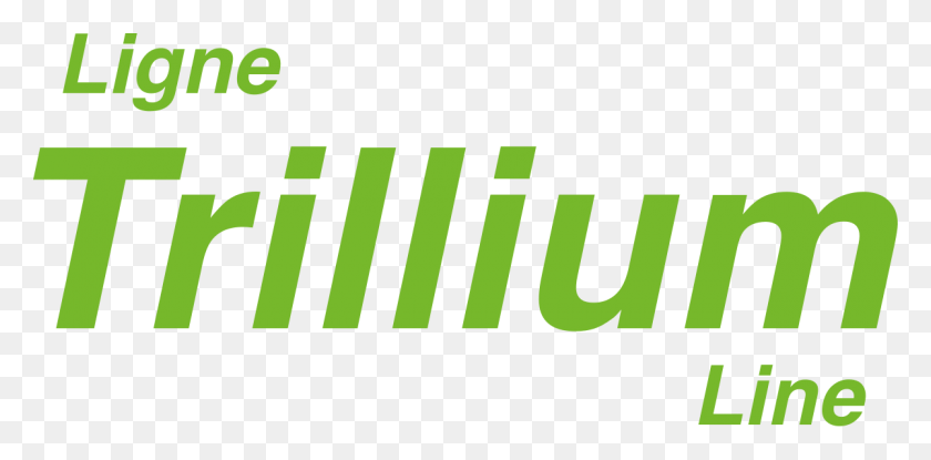 1200x547 Зеленая Галочка Триллиум Линия Графический Дизайн, Логотип, Символ, Товарный Знак Hd Png Скачать