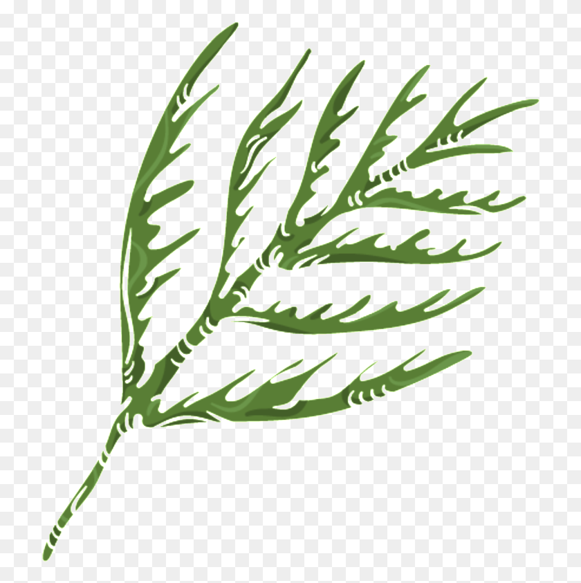 722x783 Green Coral Grass Transparent Illustration, Leaf, Plant, Vase HD PNG Download
