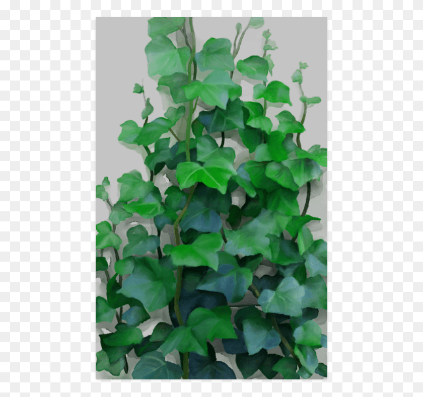 469x729 Green Creeper Wall Painting, Plant, Vine, Ivy Descargar Hd Png