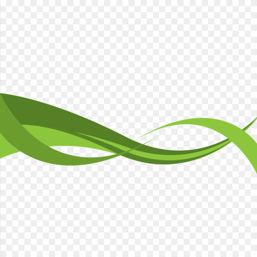 Green Curved Line, Grass, Plant, Food, Leek Sticker PNG