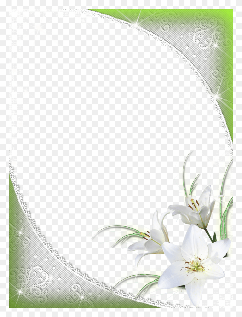 2500x3333 Green Flower Border Flower White Frame HD PNG Download