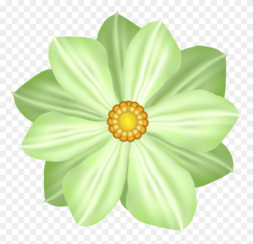 4923x4739 Green Flower Decoration Clipart Image African Daisy HD PNG Download