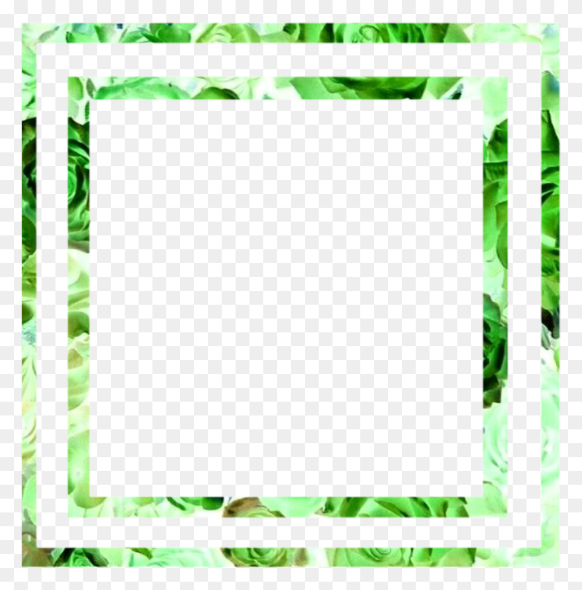 909x924 Green Frame Boarder Aesthetic Leafs Picture Frame, Vegetation, Plant, Land HD PNG Download