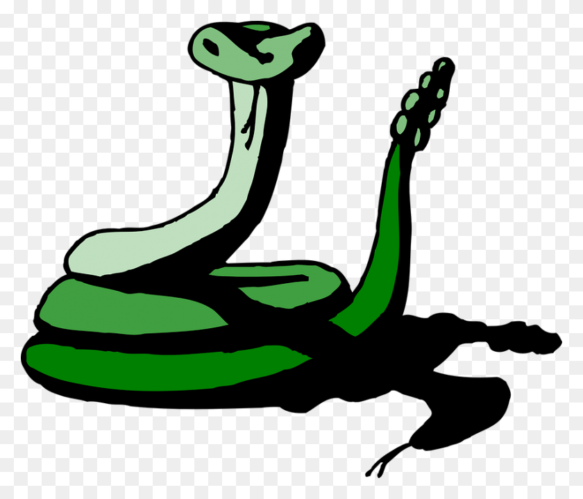 852x720 Зеленая Бесплатная Векторная Графика На Pixabay Рептилия Зеленая Анимированная Змея, Растение, Животное, Овощ Hd Png Скачать