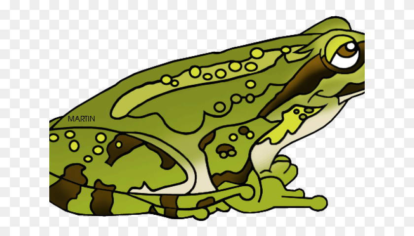 641x419 Зеленая Лягушка Клипарт Амфибия Тихоокеанская Древесная Лягушка, Дикая Природа, Животное, Птица Png Скачать