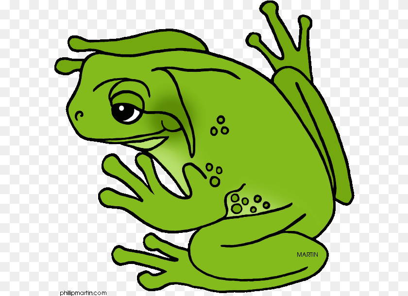 619x610 Green Frog Clipart Cool Frog Green Tree Frog Clipart, Amphibian, Animal, Wildlife, Baby PNG