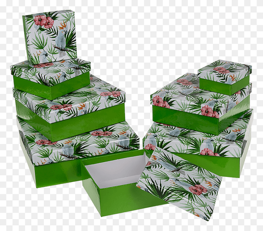 788x685 Зеленая Подарочная Коробка С Рождественской Елкой Какаду, Подарок, Коробка, Бумага Hd Png Скачать