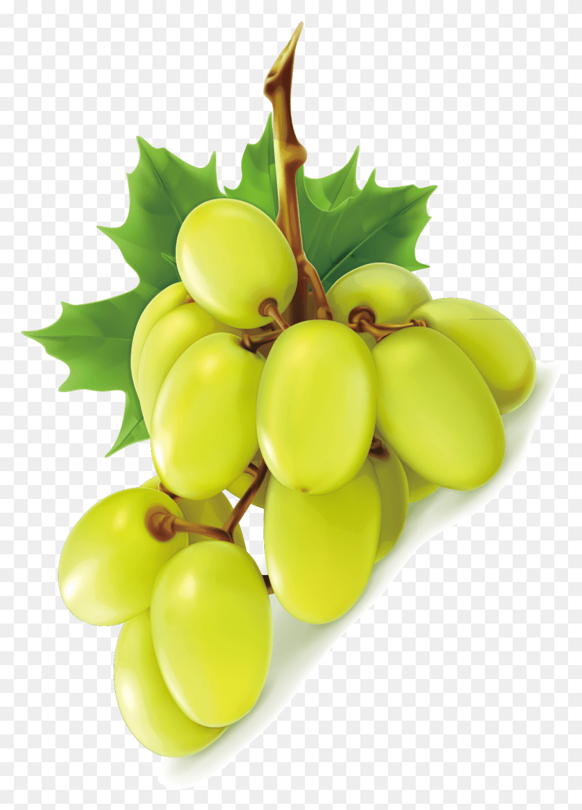 1175x1672 Green Grapes Clip Art Illustrations Green Grape Uva Verde Sin Semilla, Plant, Fruit, Food HD PNG Download