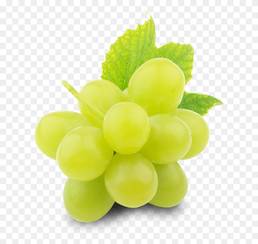 619x736 Green Grapes Free Grapes For Export, Plant, Fruit, Food HD PNG Download