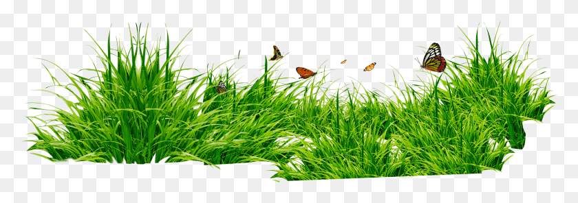 2958x898 Зеленая Трава, Растение, Коллаж, Плакат Hd Png Скачать