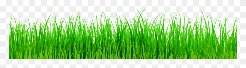 8001x1774 Green Grass Clip Art HD PNG Download