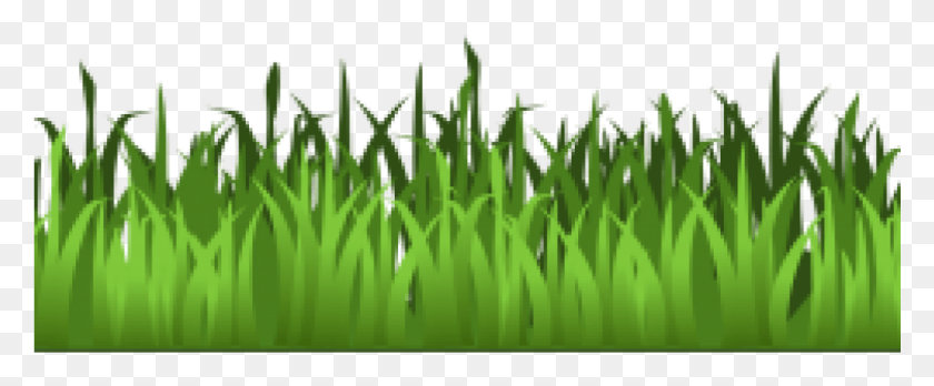 1025x379 Green Grass Clip Art Meadow Green Grass Clipart Isolated Transparent Background Grass Clipart, Plant, Lawn, Field HD PNG Download
