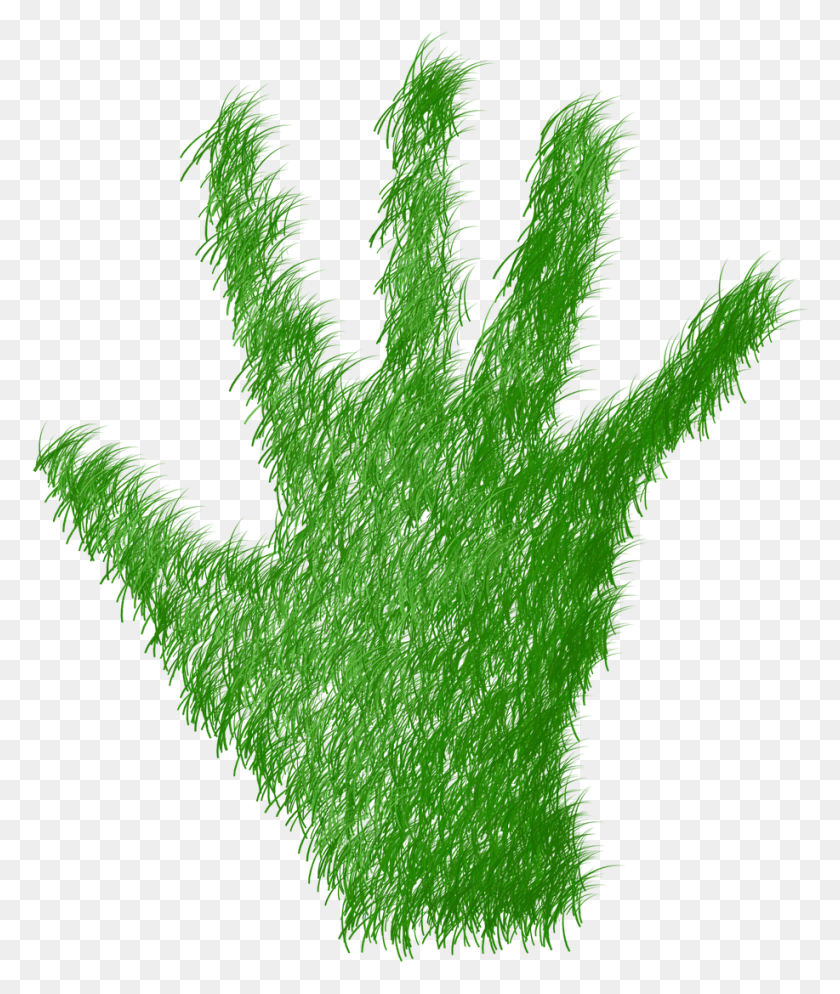 917x1099 Green Grass Prato Hand, Plant, Moss, Leaf HD PNG Download